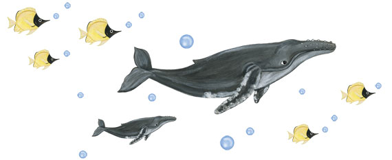 Humpback Whale Wall Decals - Whale Murals